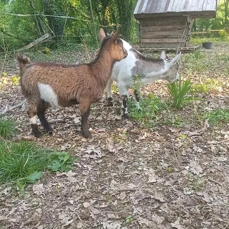 8-gîte 5 Personnes Avec Piscine * Saint-Aubin-de-Nabirat