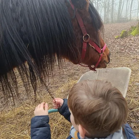 Hébergement de vacances 8-gîte 5 Personnes Avec Piscine Saint-Aubin-de-Nabirat